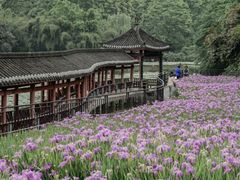 -龙头寺公园