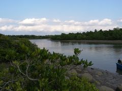 -东寨港红树林旅游区