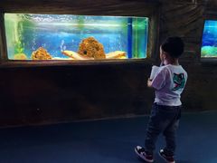 -白鹿仓冰雪海洋世界