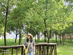 -崔岗艺术村