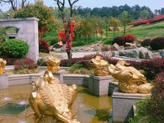 -南京银杏湖乐园