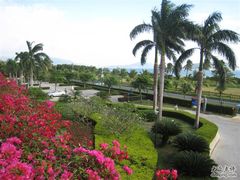 -三亚亚龙湾金棕榈度假酒店