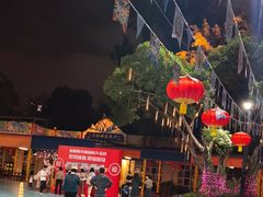 -广州长隆国际大马戏