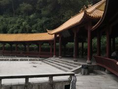 -铁山坪森林公园