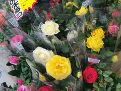 -桂林市花鸟市场