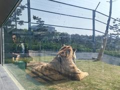 -西霞口神雕山野生动物世界