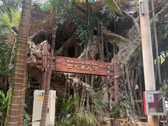 -龙达温泉生态城