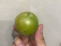 大浮醉李-呼吸森林·生态农庄农家乐私房菜