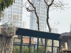 -武汉动物园