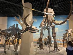 -国家自然博物馆