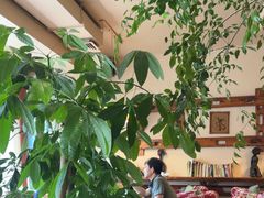 -慢丽江·云南野生菌土鸡锅(付家庄店)