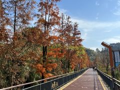 -青山湖景区