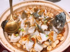 石斑鱼-炳胜公馆(珠江新城店)