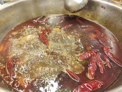 -金鼎雪山牦牛杂火锅(理县总店)