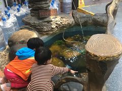 -御膳粥·牛乳粥底火锅·地道顺德菜(容桂店)