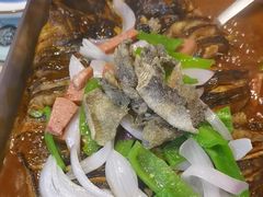 -鱼酷活鱼烤鱼(沈阳大悦城店)