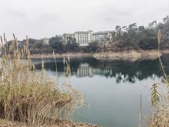 -几荷·恰似故人来(秀水广场店)