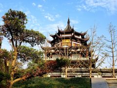 -太湖湖滨国家湿地公园-停车场