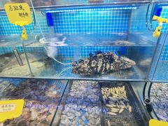 -前王院•巧克力海鲜市集餐厅(万平口店)