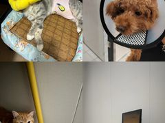 -荔康动物医院(康王北路店)