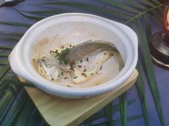 红胡椒海钓小黄鱼-蘇锦宴·淮扬菜烤鸭·小院(三元桥霄云路店)