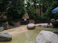 -鱼凫国都大酒店温泉