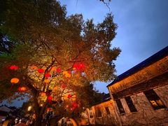 -周庄古镇景区-双桥
