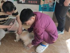 -A猫a狗全科·犬猫异宠·芥西宠物医院(南开总院)