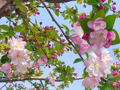 -元大都城垣遗址公园