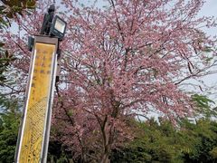 -建水文庙