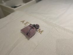 -奥斯芬欧系贵族SPA