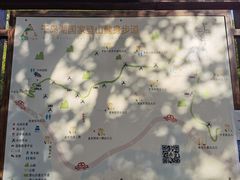 -千岛湖天屿景区