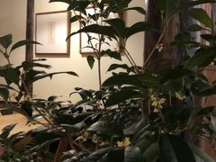 -法云安缦酒店