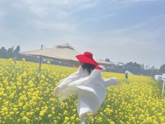 -桤木河湿地公园