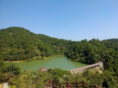 -广州白江湖森林公园