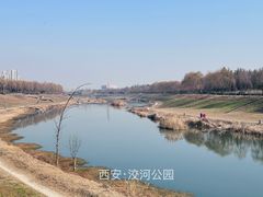 -洨河生态公园