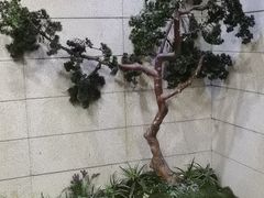 -恒坤北纬42度温泉洗浴(公园路店)