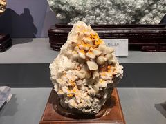 -湖南省地质博物馆