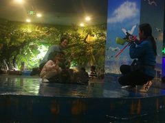 -锦艺城海洋馆