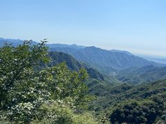 -大岭沟猕猴桃谷风景区
