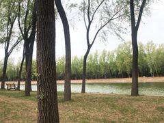 -森林公园(尖草坪区)