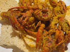 -京悦南门涮羊肉·羊蝎子火锅(田林路店)