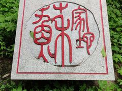 -阳台山自然风景区