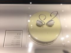 -BLACKSWAN黑天鹅(环球店)