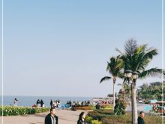 -野狸岛