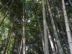 -杭州黄龙洞