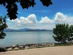 -深圳湾公园(南山区)
