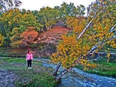 -塞罕坝国家级自然保护区