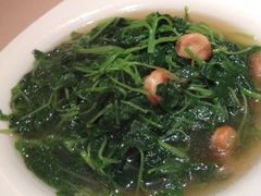 iphone_upload_pic-陶陶居海鲜酒家(新马路店)