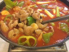 湘为肥肠火锅-湘肠香火锅店(团结湖店)
